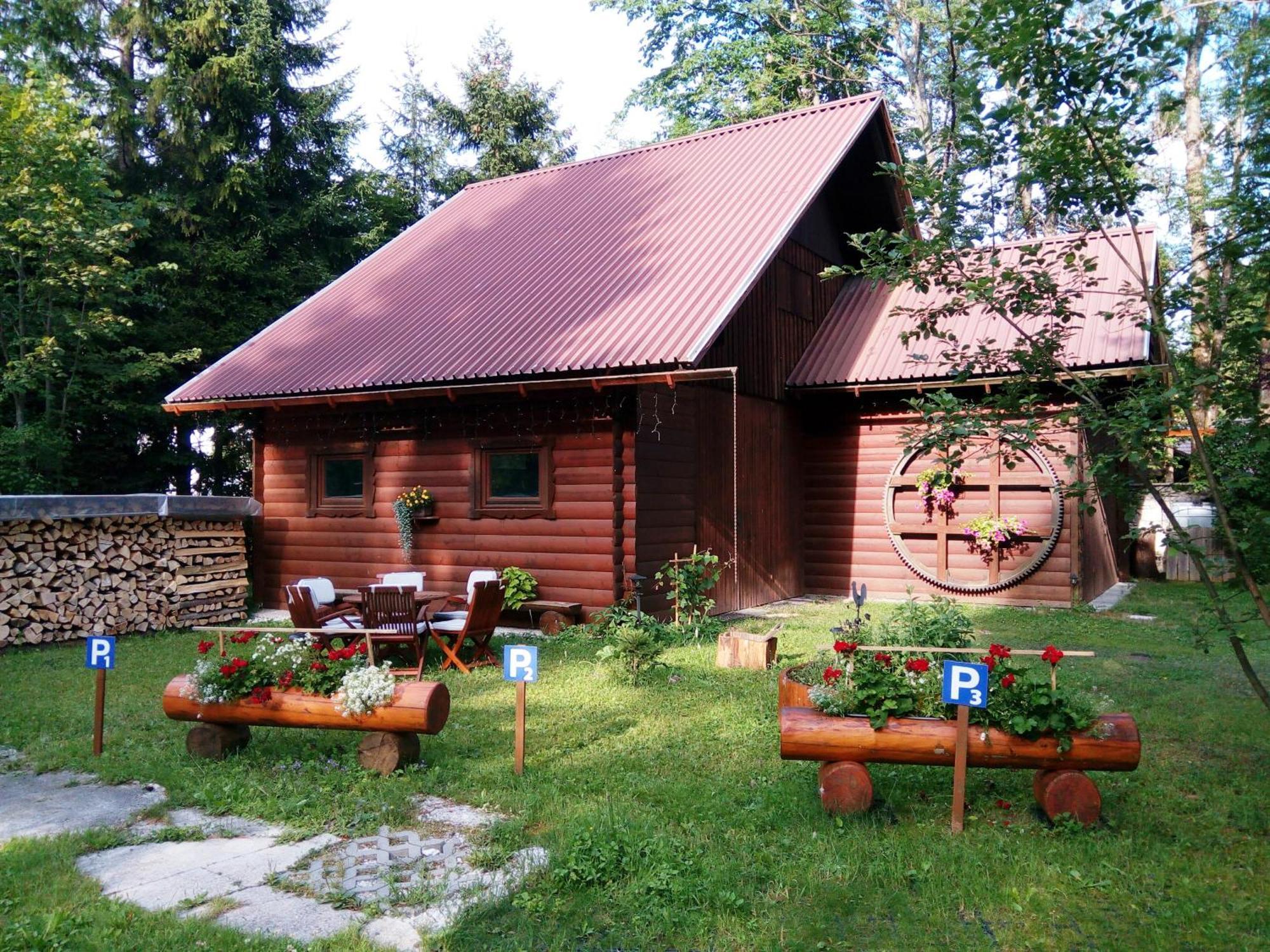 크라니스카고라 Farm Kosir 빌라 외부 사진