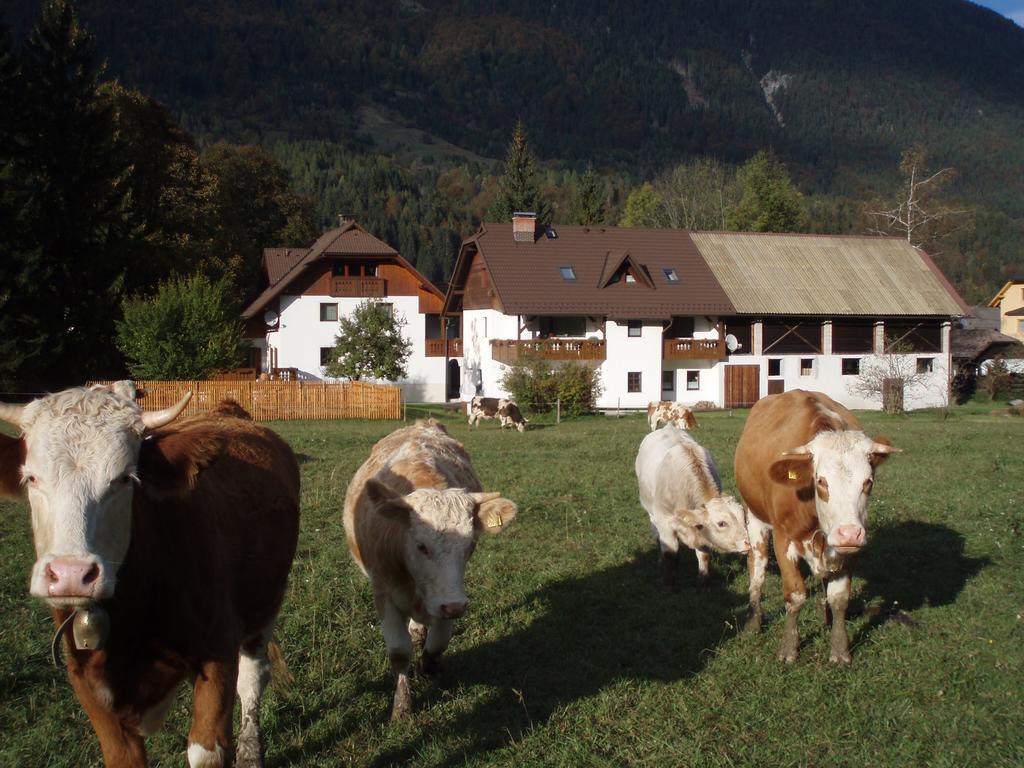 크라니스카고라 Farm Kosir 빌라 외부 사진
